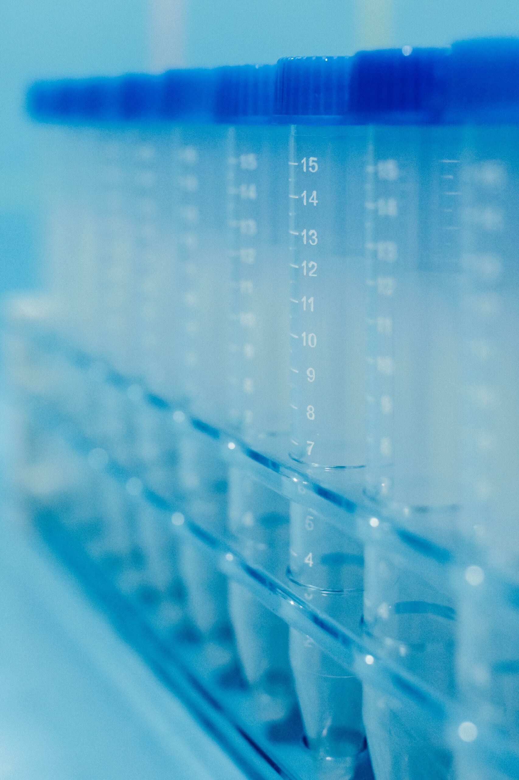 Vertical shot of clear plastic test tubes in a rack with blue caps in a laboratory setting.