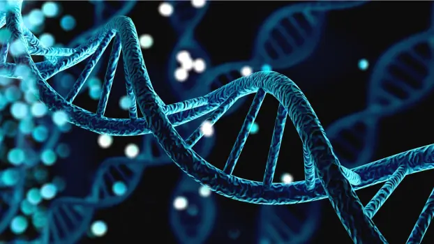 I test del dna