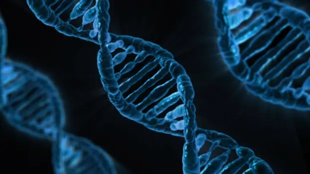 DNA Spazzatura