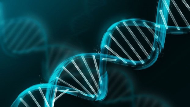 DNA non codificante