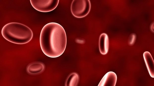 Il test del DNA Beta Talassemia