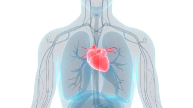 Test DNA Cardiogenomica